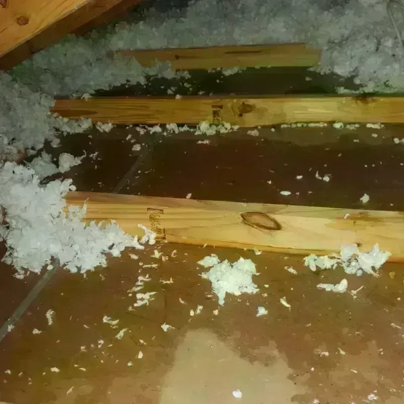 Attic Water Damage in Patterson, CA